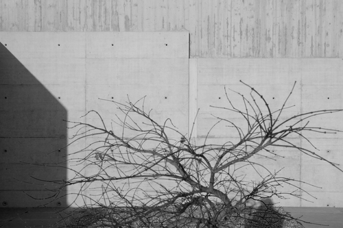 Qm042_cimitero_016_fotomengani_large