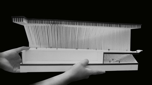 Maqueta_costillas_bn_large