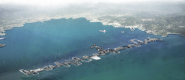 Aerial_view2_normal