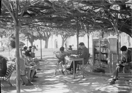 Biblioteca_de_jardim__lisboa_normal