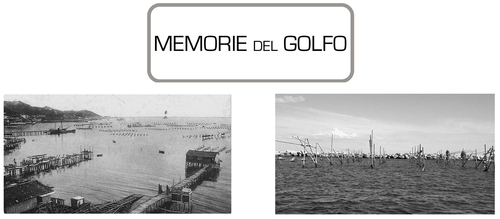 3-1copy_large