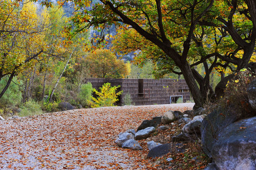 Autumn-landscape_large