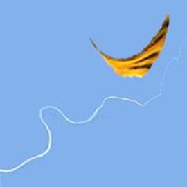 1511884829_normal