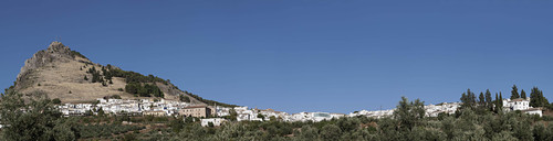 Local_large