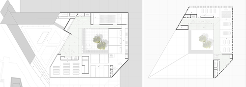 7-plantas_large