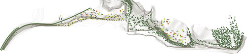 Plantation_large