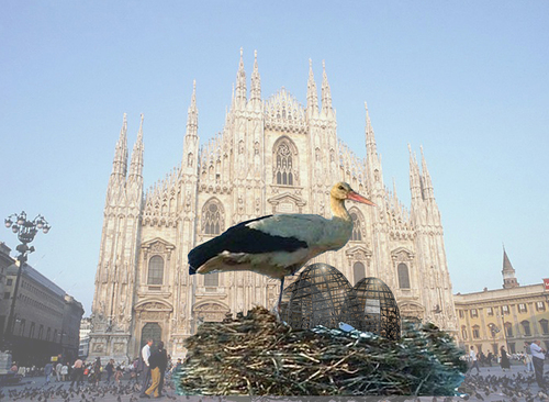 Nidi_duomo_2_sup_large