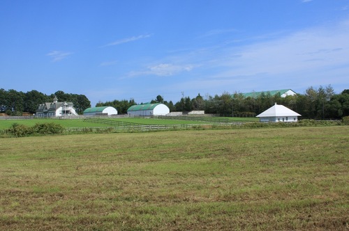 １８_large