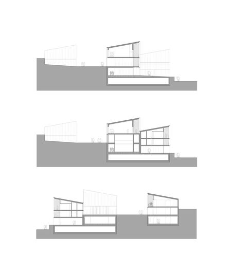 Cor_section_large