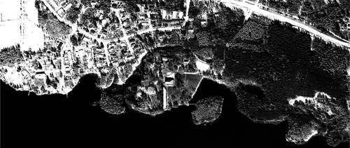Vela_earth_large