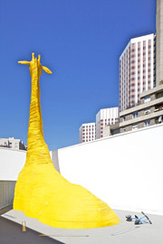 11-the-giraffe-©-p_normal