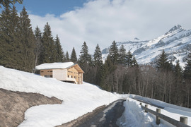 057_diablerets©tjantscher_042_desaturee_normal