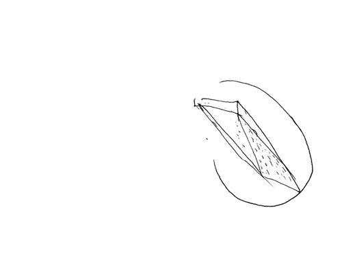 02_large