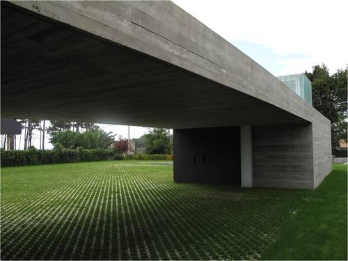 Canolasso_studio_large