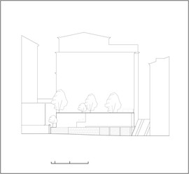 Rondinella_1_normal