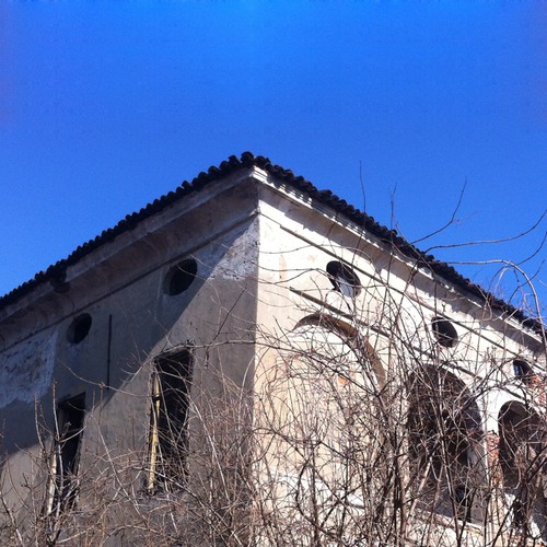 Dettaglio_large