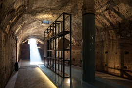 2013-01-31_caracalla_003_normal