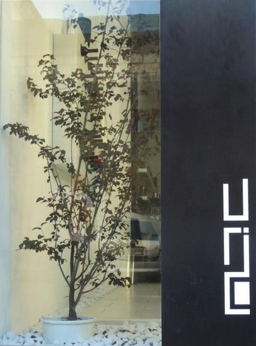 Image_large