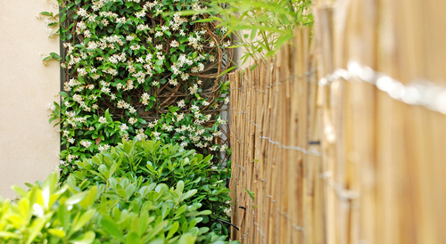 Cover_large