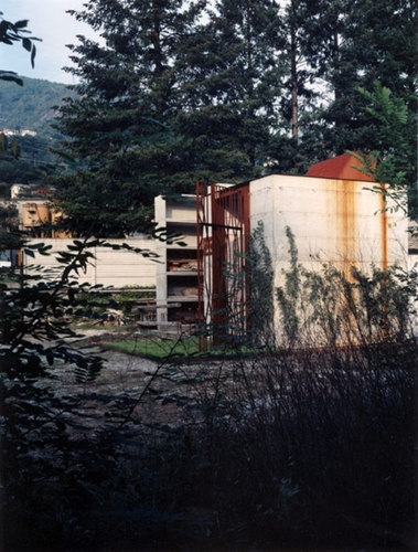 136031634_large