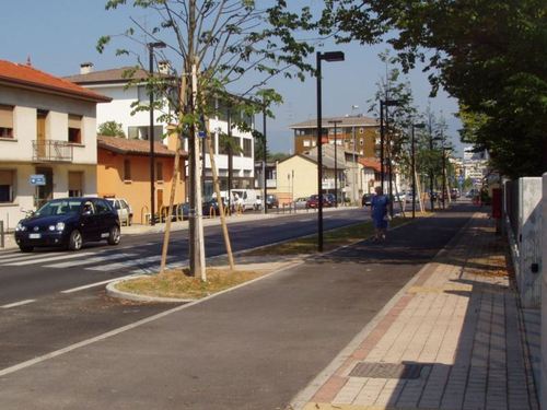 100026253_large