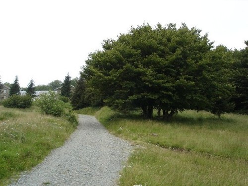 600846111_large