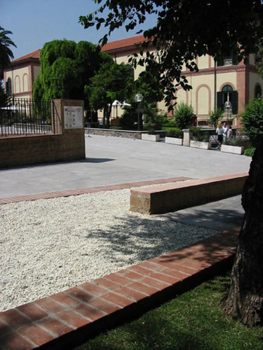 165387754_large