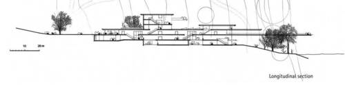77169261_large