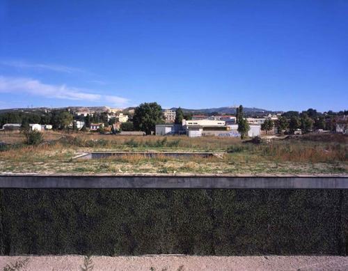 919421324_large