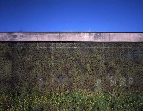 1273376976_large