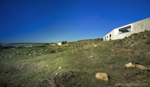 1593677342_large