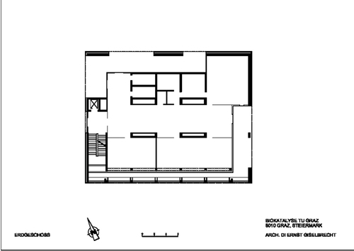 463043286_large