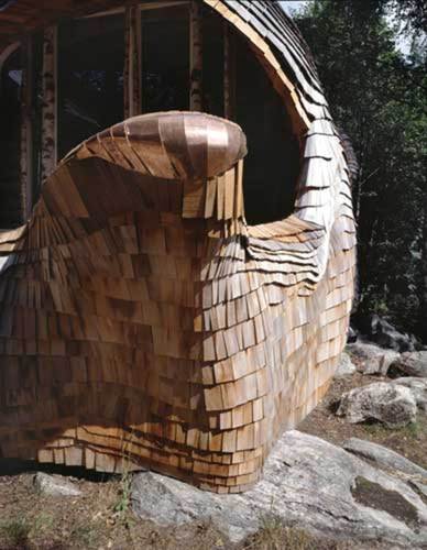 154925926_large