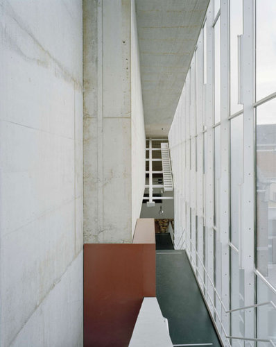 1877116231_large