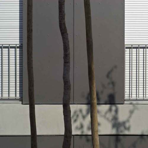 117143127_large