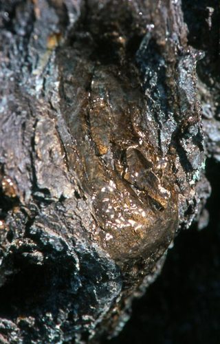 1345750534_large