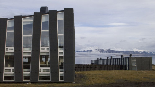 1120405568_large