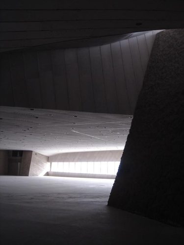 1007917071_large