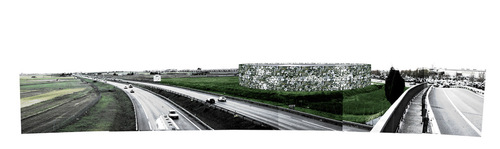 842761264_large