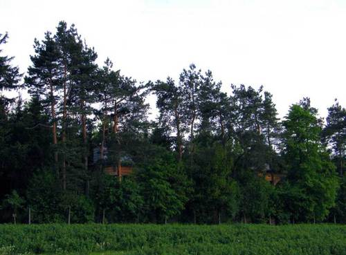 733015441_large