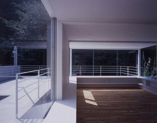 562667613_large