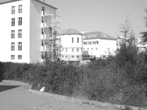1405423290_large