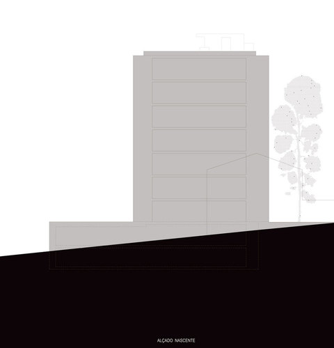 911445205_large