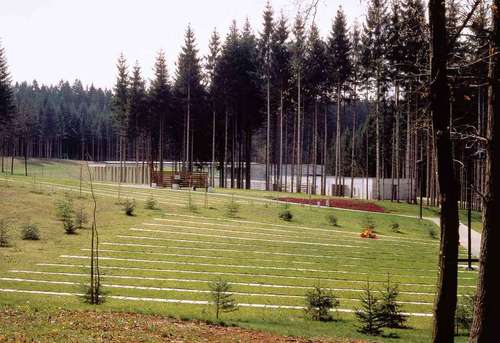 1462813181_large