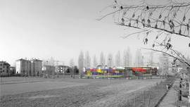 205146109_normal