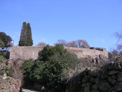 1139372002_large