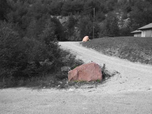 46216880_large