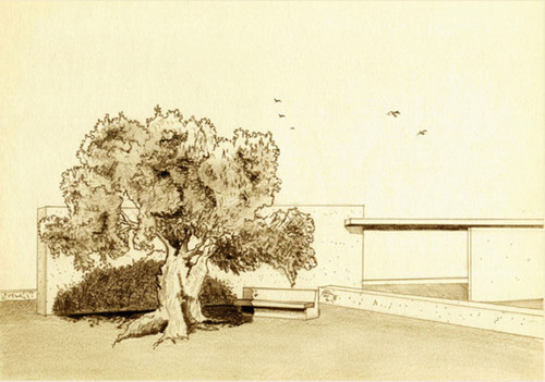 118024863_large