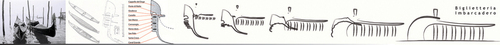 325571721_large