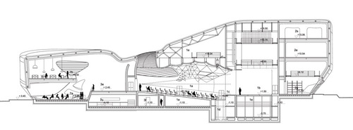 33637662_large